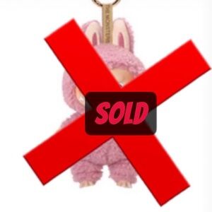 Lychee Berry The Monsters- Exciting Macaron Labubu